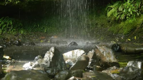 Small Waterfall Flowing in Lush Green Forest