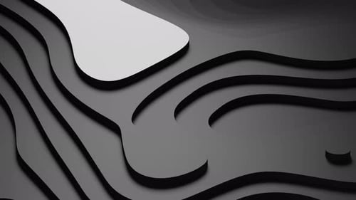 Abstract Flowing Black and White Topographic Layers Animation