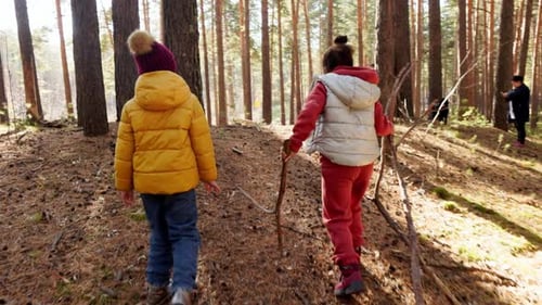 Children Exploring a Wooded Forest Area During a Sunny Day in Autumn