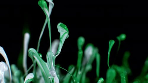 Abstract Green and White Liquid Paint Splashes Motion Graphic