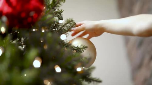 Woman's Hand Hanging A Gold Christmas Ball On Christmas Tree - Christmas Holiday Season. - close up