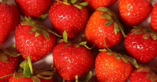 Many fresh ripe strawberries on table, rotating. Top view