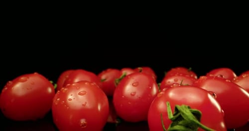 fresh red cocktail tomatoes super close-up with dark background unique high resolution 4k shoot HQ
