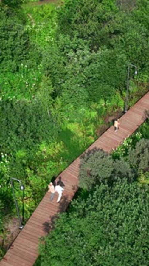 Aerial View of People Walking on Boardwalk in Green Park Clip