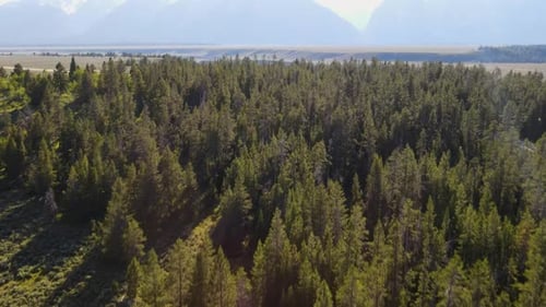 A 4K drone shot showing the beautiful landscape of Grand Teton National Park in Wyoming. The camera