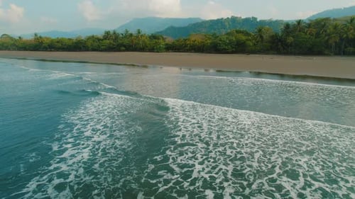 Foamy shoreline waves approaching a quiet palm lined tropical beach Costa Rica