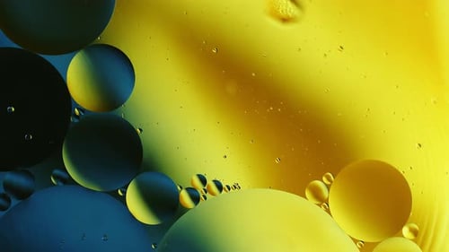 Real close up oil bubbles in water rotation with color gradient abstract mixing background.