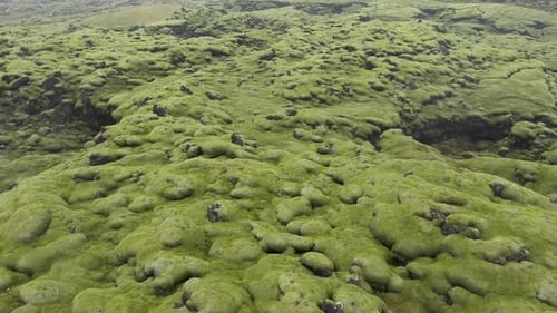 Flying over Eldhraun lava field volcanic lava flows and pillows Iceland aerial