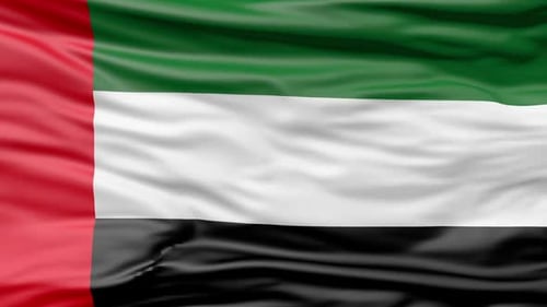 Realistic United Arab Emirates Flag Waving Seamless Loop