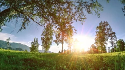 Mountain Meadow Timelapse at the Summer or Autumn Time Wild Nature and Rural Field Motorised Slider
