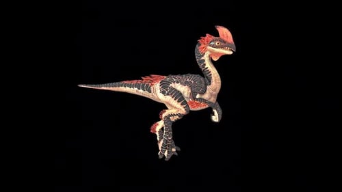 Gorgosaurus Walk Idle