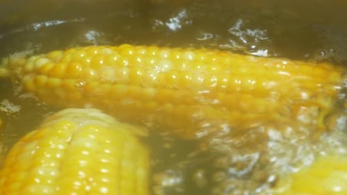 Corn Boiled in Water: Close Up