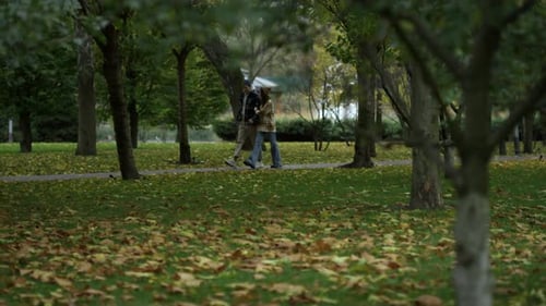 Nahaufnahme des wunderschönen Herbstparks mit jungem Wanderpaar