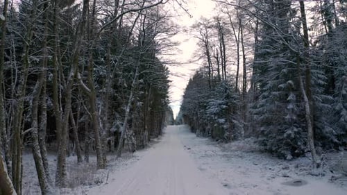 4K UHD aerial drone clip of a snowy road surrounded by trees in a forest in winter with snow coverin