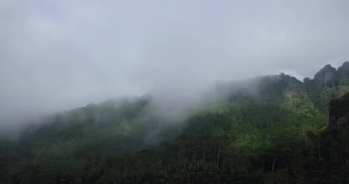 Drone video of the hill in foggy weather. Hills overgrown with dense trees of rain forest with cloud