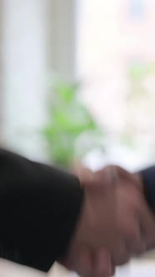Slow Motion of Business People Shaking Hand, Close up, vertical video