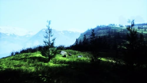 Grassy Hill With Trees and Mountains