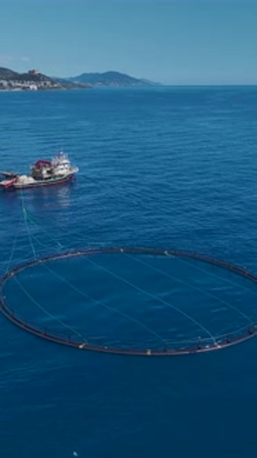 Vertical Video Aerial Footage of a Mediterranean Fish Farm Near the Shore Showcasing Circular Pens