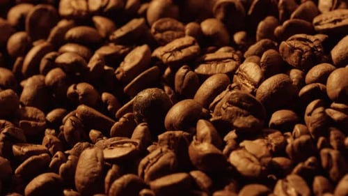 Roasted Coffee Beans Macro Close-Up