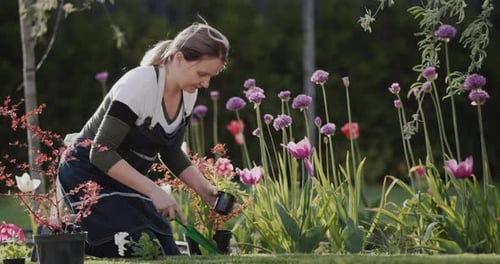A Woman Plants Flowers in the Garden Near Her House