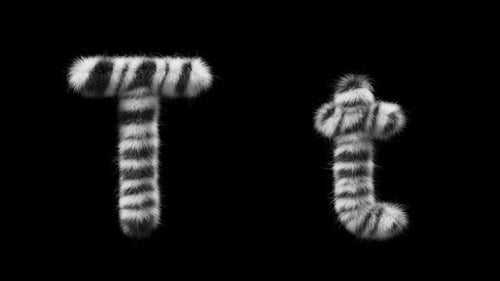 Animação 3D de uma letra de lã Zebra maiúscula e minúscula T