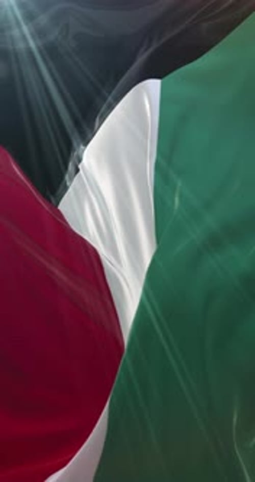 Dynamic Waving Kuwait Flag Seamless Loop Vertical Stock Footage