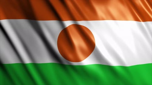 Niger National Flag Realistic Waving Loop