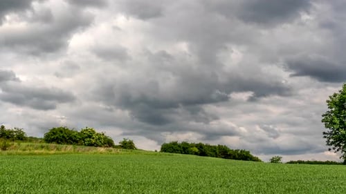 Rural landscape