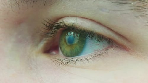 4K Cinematic slow motion macro shot of a green eye, with blue and brown flecks, opening and looking