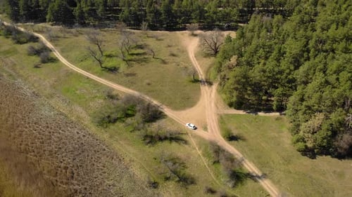 Aerial Top Down View of White Car Driving on Country Road in Forest