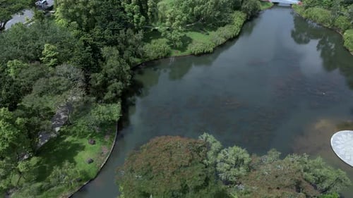 Aerial View Of A Tranquil Pond In A Park - drone shot