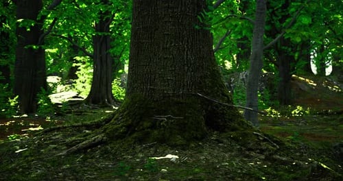 Majestic Tree Roots Intertwined in a Vibrant Green Forest During Daylight
