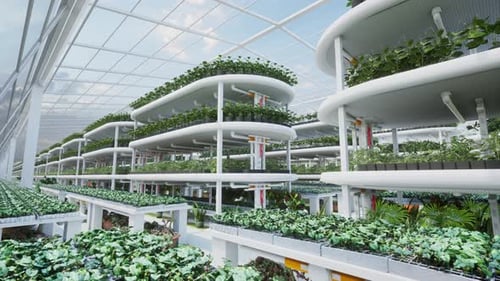 Futuristic Vertical Farm Greenhouse Indoor Agriculture Animation