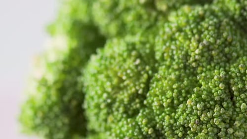 Macro footage of fresh broccoli. Close-up view of green cabbage