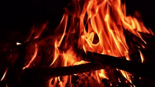 Branches of wood burning in the campfire. Close up. Beautiful flames of fire in the darkness.