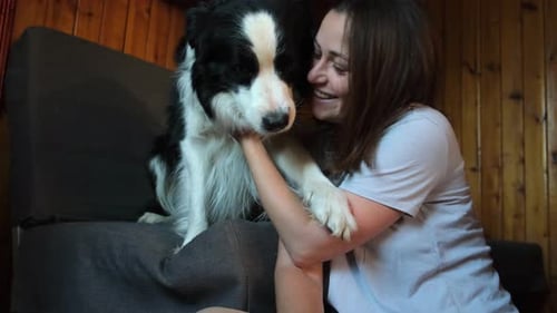 Lächelnde junge Frau streichelt und spielt mit süßem Hundewelpen Border Collie auf dem Couchsofa zu Hause drinnen
