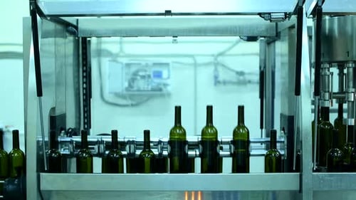 Wine Bottle Conveyor System in Action at a Busy Factory Producing Red and White Wine