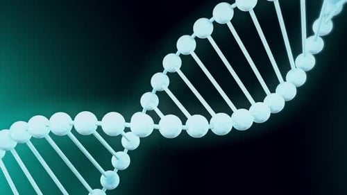 Animated DNA Double Helix Structure Rotation