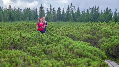 Beautiful couple practicing hiking inside a trail surrounded by green vegetation