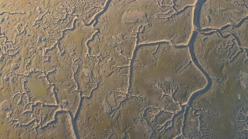 Aerial View of Mudflat River Delta Pattern