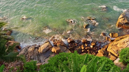Waves of Sea and Rocky Coast at Sunset Palm Trees Azure Water Tropical Trees