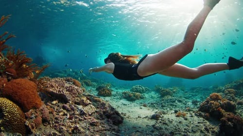 Sexy Woman Freedives Young Fit Female Freediver Swims Underwater Over the Healthy Coral Reef Near