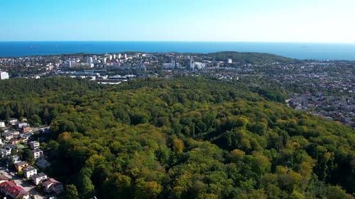 Ville de banlieue entourée par la forêt de Witomino, Gdynia, Pologne, vue aérienne