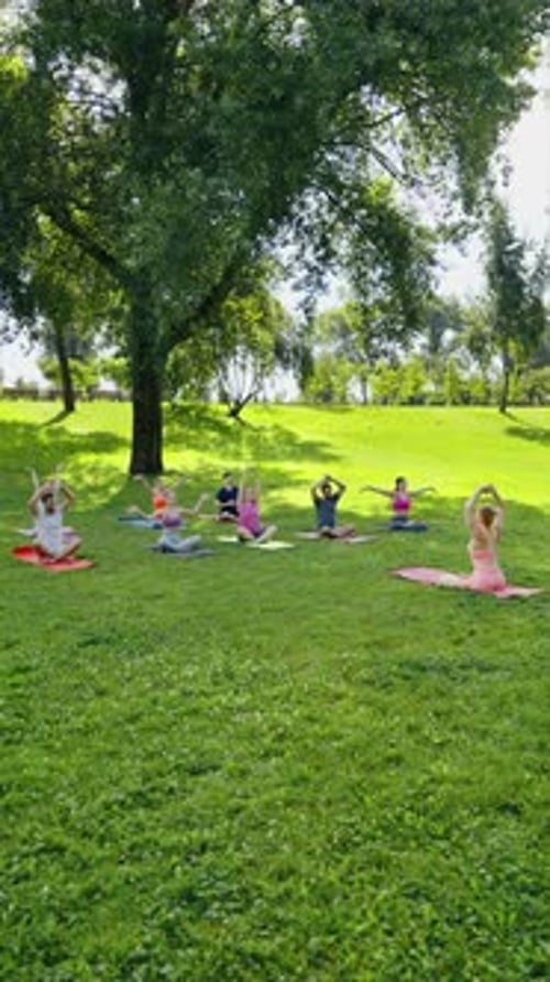 Vertical Screen People Practicing Yoga Outdoors in Park