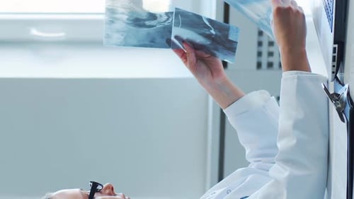 Professional Medical Doctors Working in Hospital Office Making Computer Research Medicine Healthcare