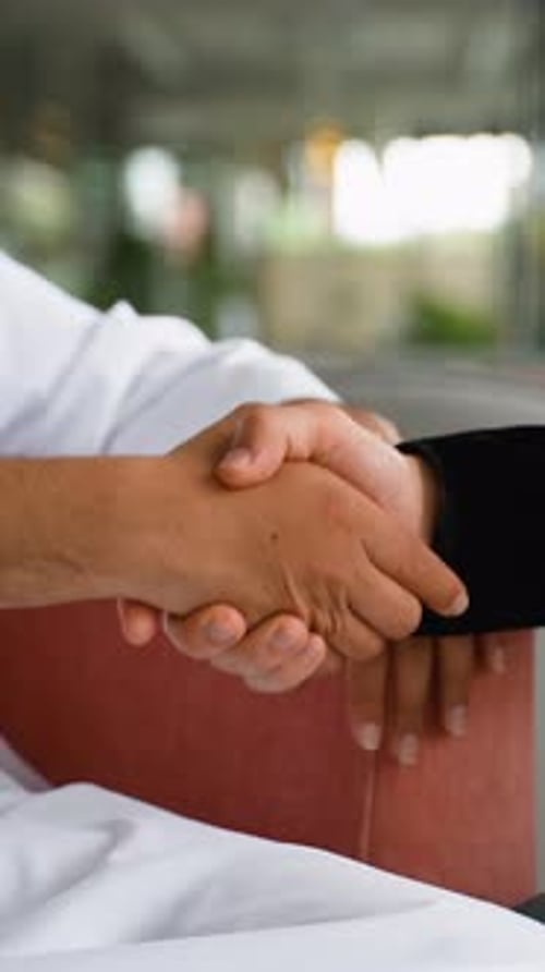 Handshake between two colleagues indoor
