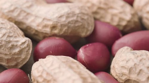 Closeup view of fresh peanuts on wooden table. Macro shot