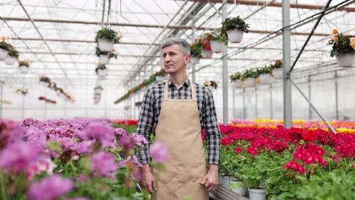 Smiling Gardener Surrounded by Colorful Flowers in Greenhouse