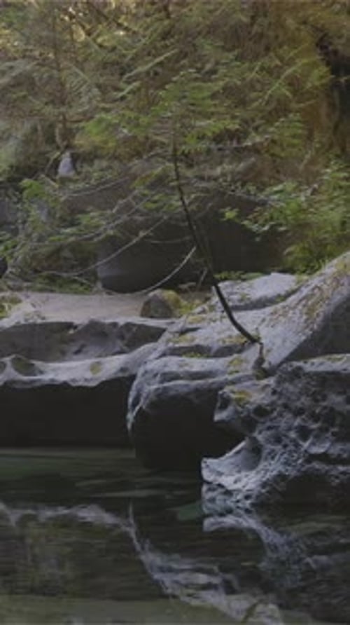 Tranquil Forest River Stream Flowing Through Rocks in Nature. BC, Canada.