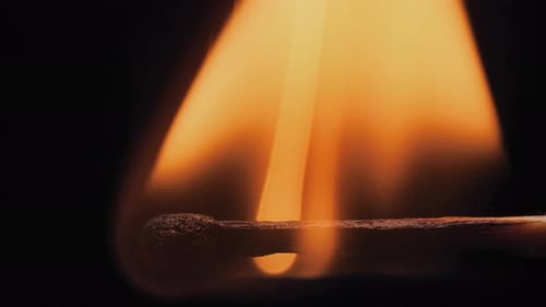 Burning match on a black background. Close up shot of igniting wooden match